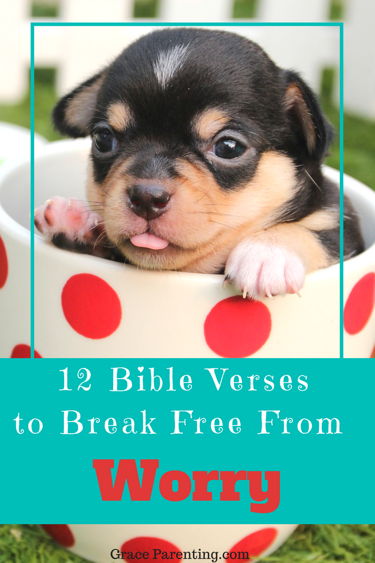 12 bible verses about worry