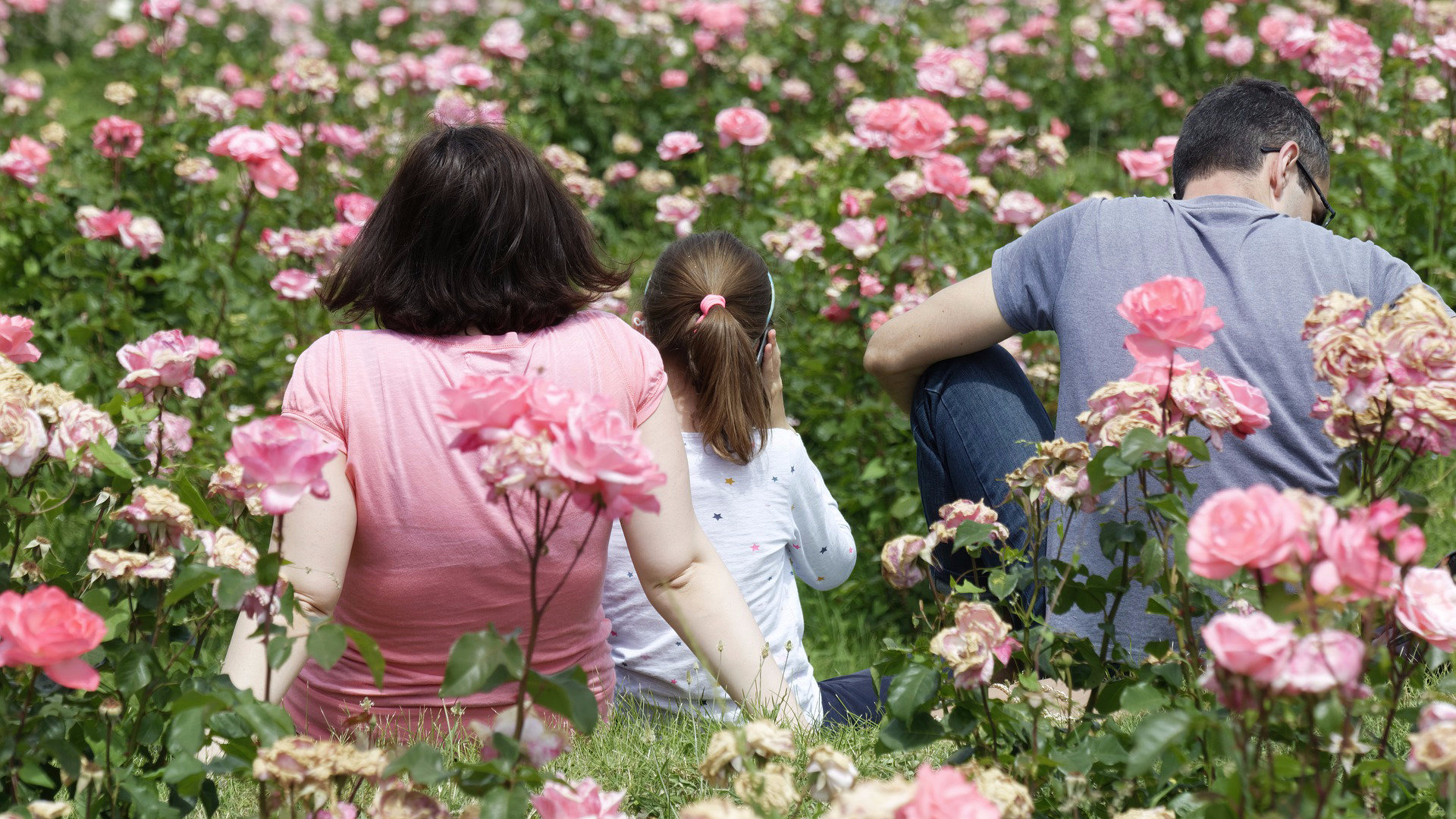 From Bedtime Battles to Bed of Roses